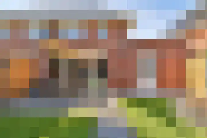 Egel 3 Hoogeveen thumbnail 47