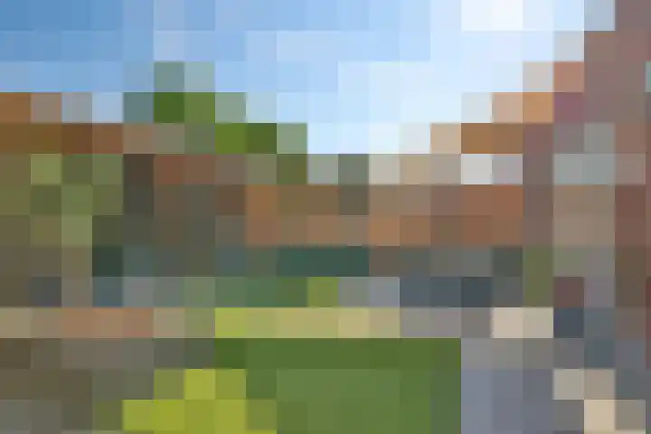 Egel 3 Hoogeveen thumbnail 48