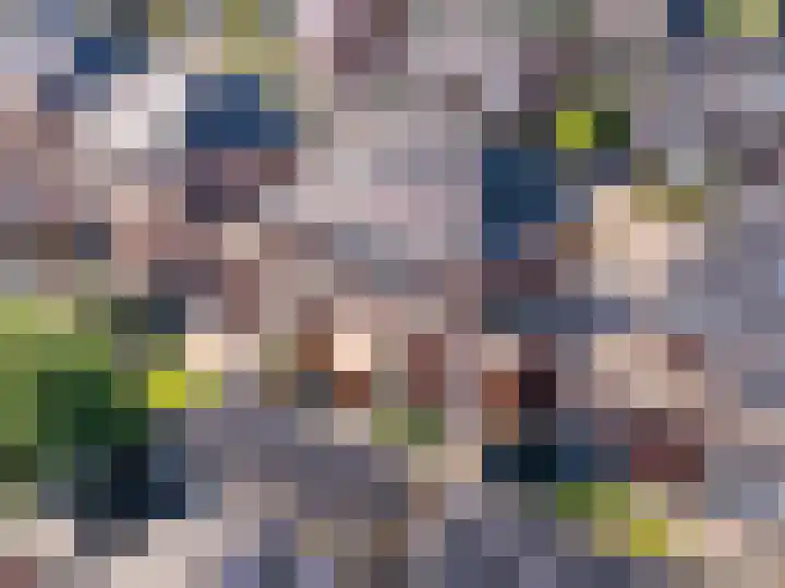 Egel 3 Hoogeveen thumbnail 5