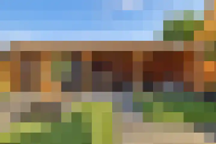 Egel 3 Hoogeveen thumbnail 50