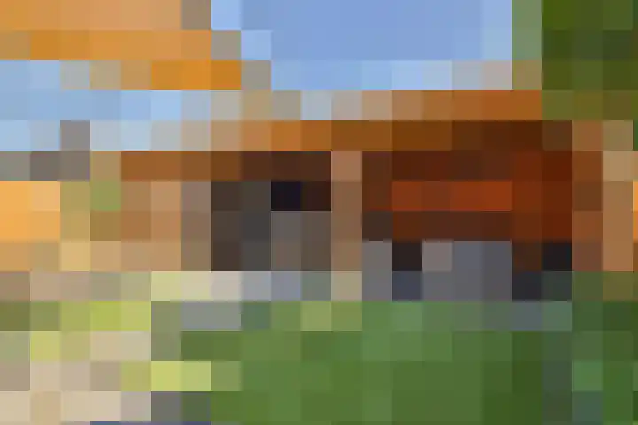 Egel 3 Hoogeveen thumbnail 51