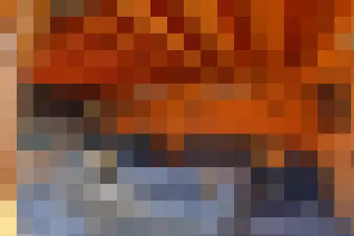 Egel 3 Hoogeveen thumbnail 52