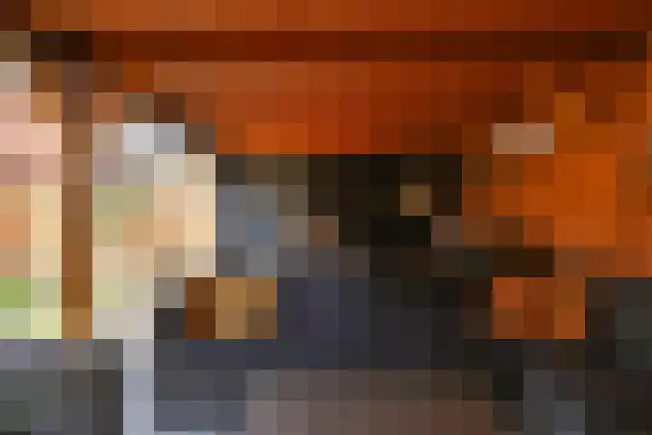 Egel 3 Hoogeveen thumbnail 53