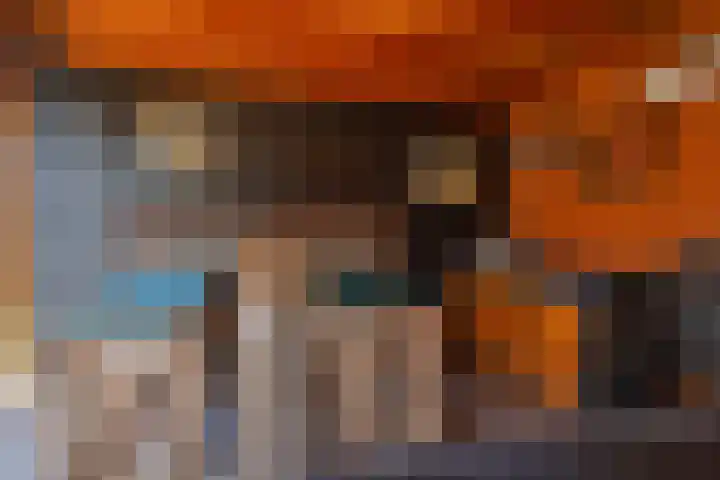 Egel 3 Hoogeveen thumbnail 54