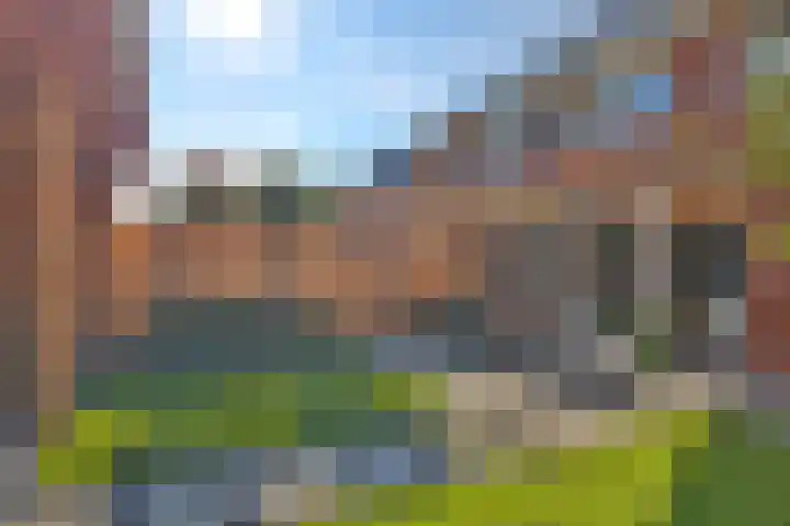 Egel 3 Hoogeveen thumbnail 55
