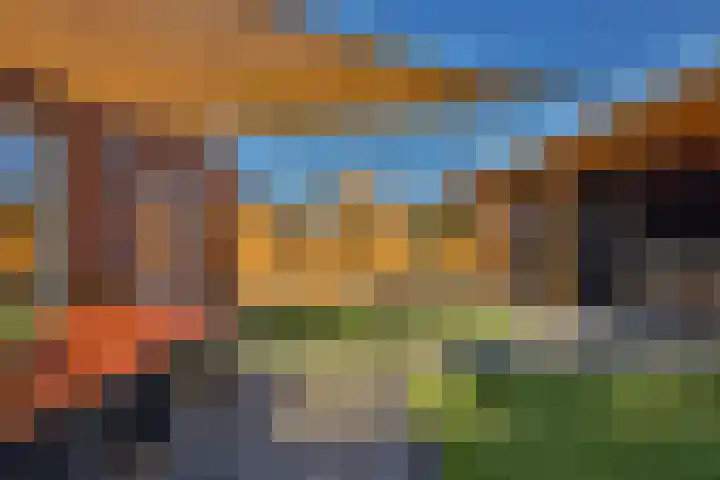 Egel 3 Hoogeveen thumbnail 57