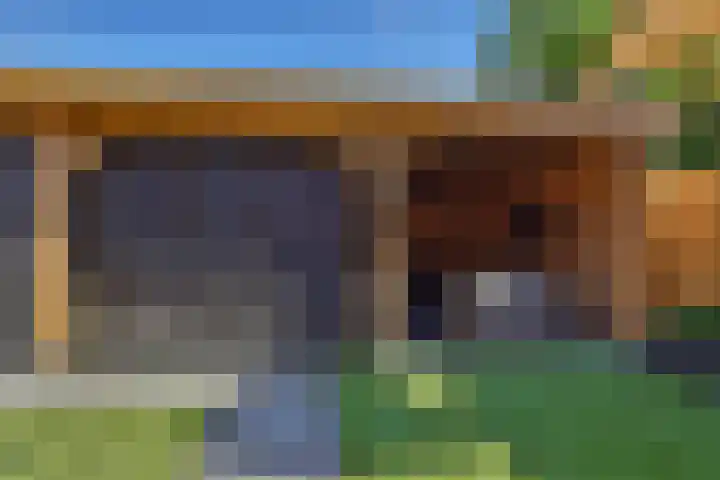 Egel 3 Hoogeveen thumbnail 59