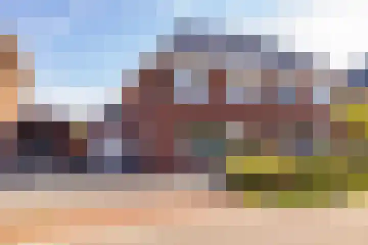 Egel 3 Hoogeveen thumbnail 60