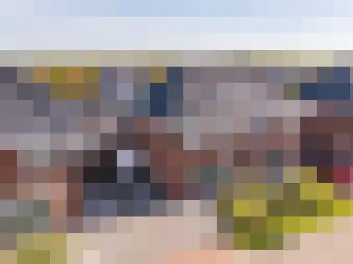 Egel 3 Hoogeveen thumbnail 61