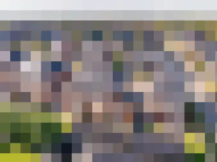 Egel 3 Hoogeveen thumbnail 62