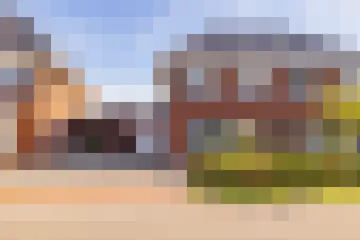 Egel 3 Hoogeveen thumbnail 64