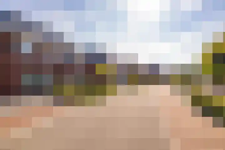 Egel 3 Hoogeveen thumbnail 66