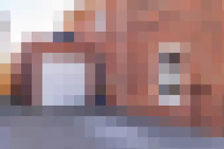 Egel 3 Hoogeveen thumbnail 7