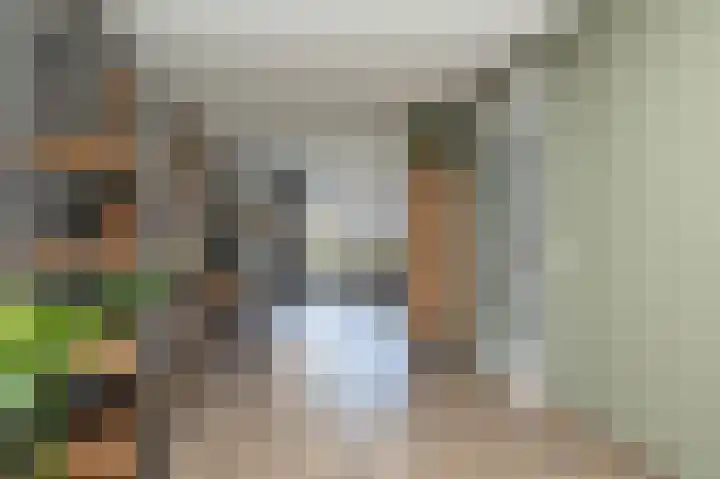Egel 3 Hoogeveen thumbnail 9