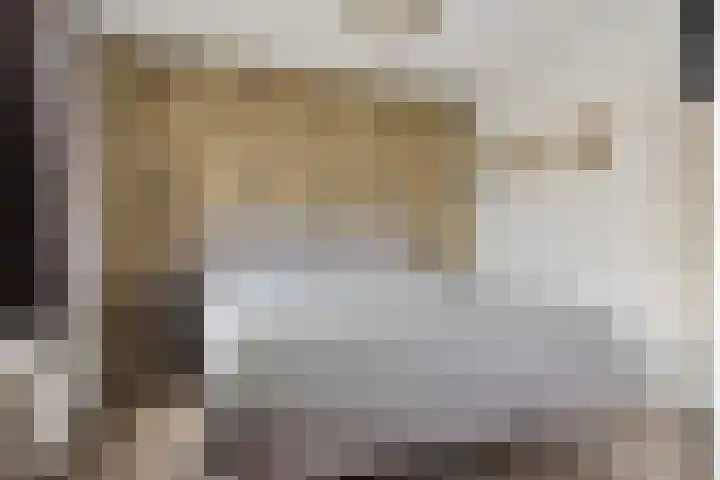 Egel 32 Veldhoven thumbnail 15