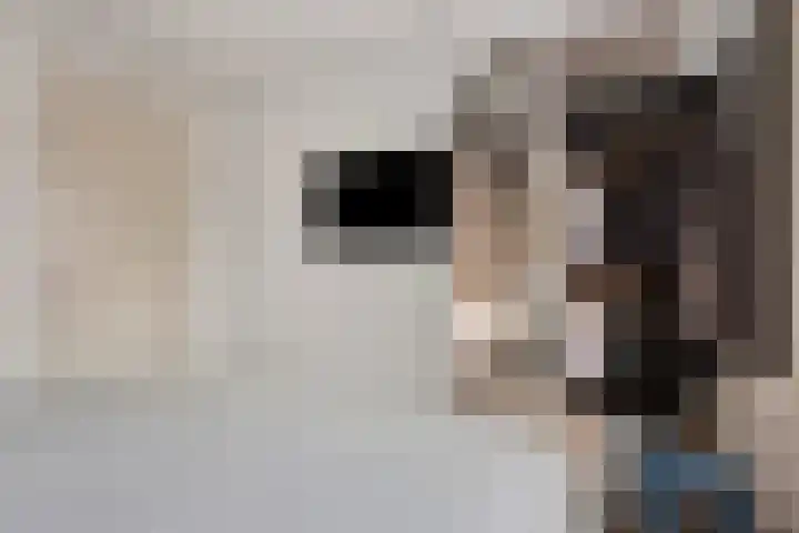 Egel 32 Veldhoven thumbnail 17