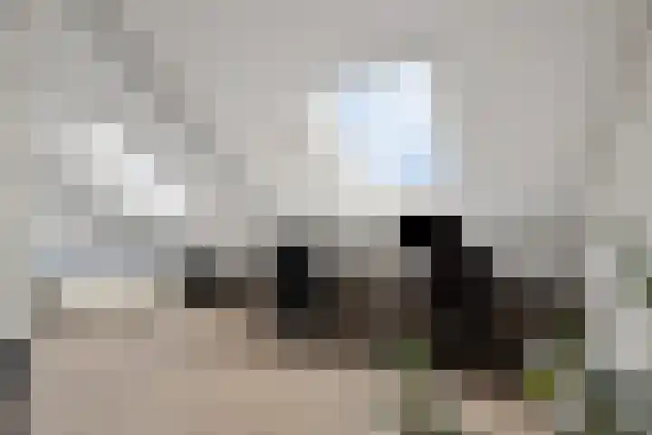 Egel 32 Veldhoven thumbnail 25