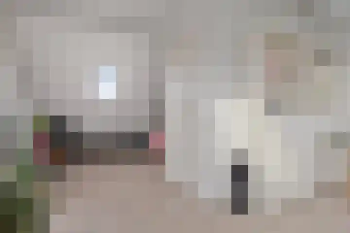 Egel 32 Veldhoven thumbnail 27