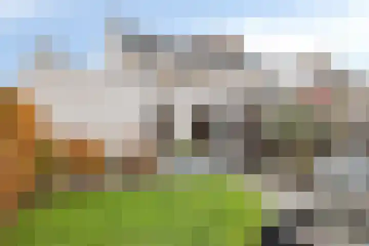 Egel 32 Veldhoven thumbnail 29