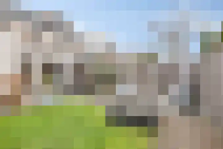 Egel 32 Veldhoven thumbnail 31