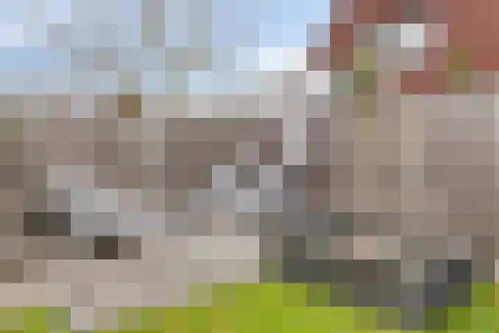 Egel 32 Veldhoven thumbnail 32