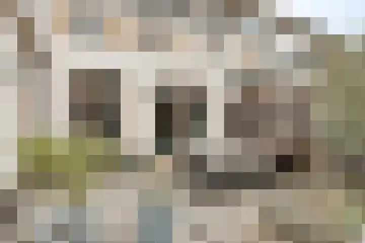 Egel 32 Veldhoven thumbnail 33