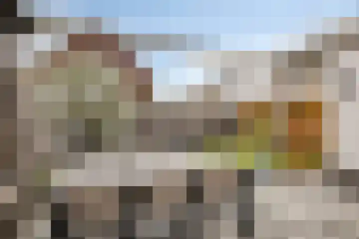 Egel 32 Veldhoven thumbnail 34