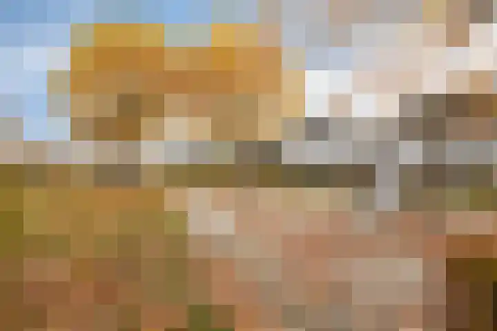 Egel 32 Veldhoven thumbnail 37