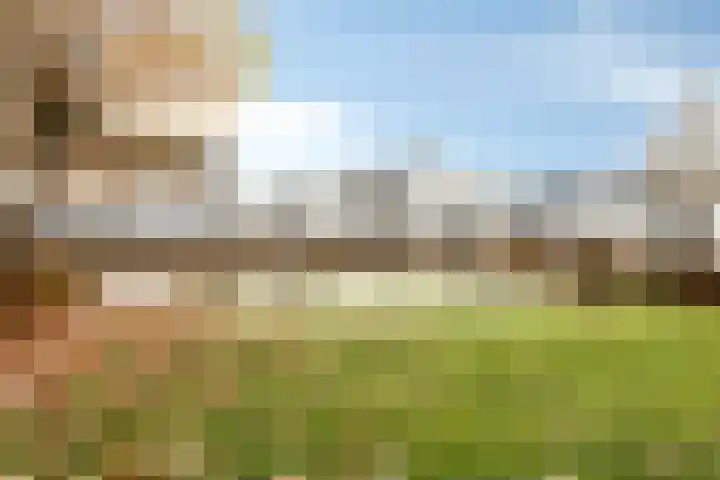 Egel 32 Veldhoven thumbnail 38