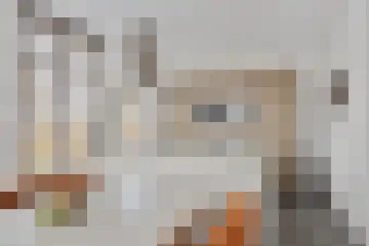 Egel 32 Veldhoven thumbnail 7