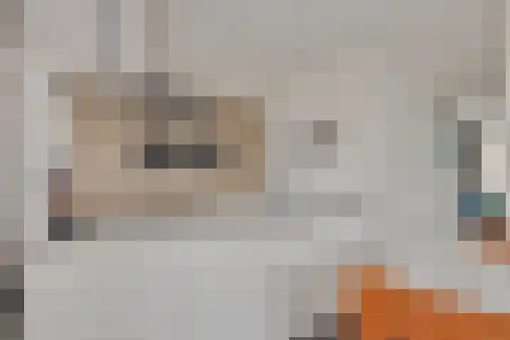 Egel 32 Veldhoven thumbnail 8