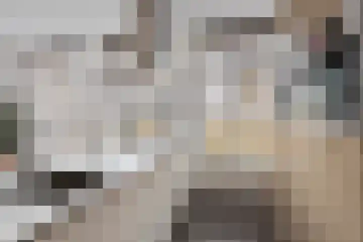 Egel 32 Veldhoven thumbnail 9