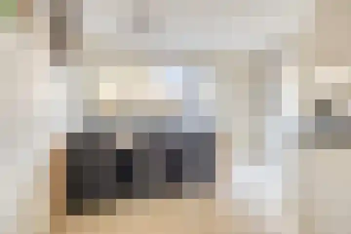 Egelantier 10 Meppel thumbnail 10