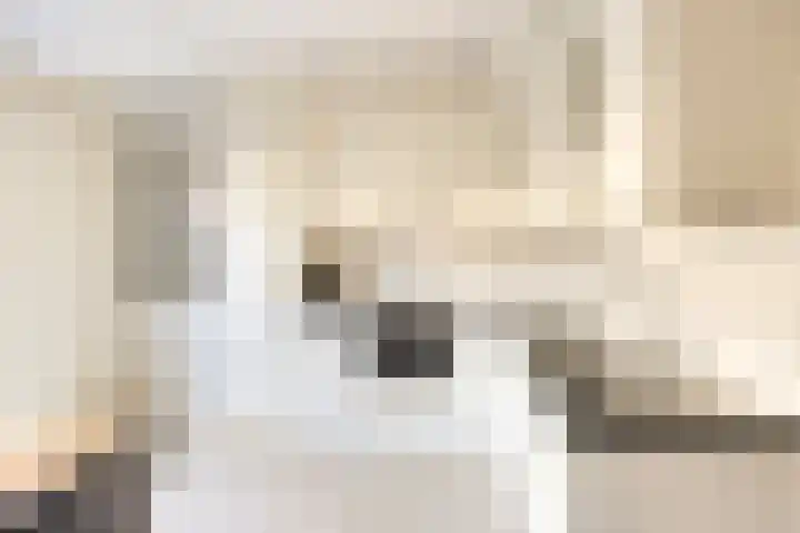 Egelantier 10 Meppel thumbnail 11