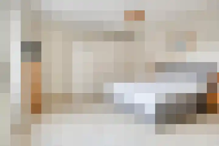 Egelantier 10 Meppel thumbnail 17