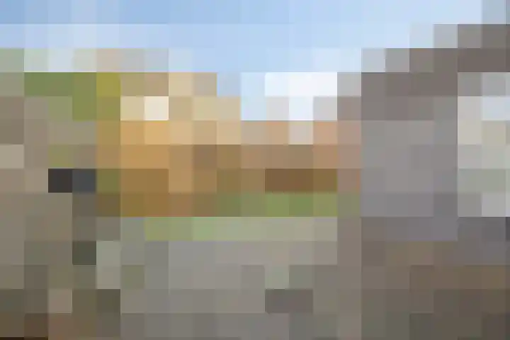 Egelantier 10 Meppel thumbnail 27