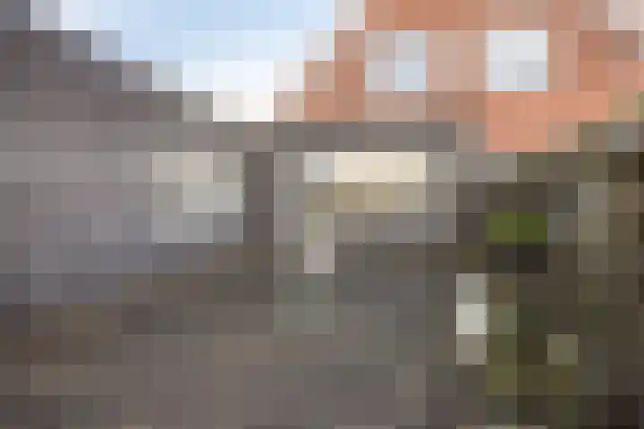 Egelantier 10 Meppel thumbnail 28