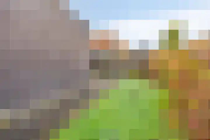 Egelantier 10 Meppel thumbnail 29