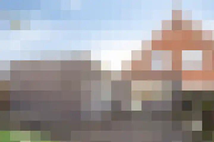 Egelantier 10 Meppel thumbnail 30