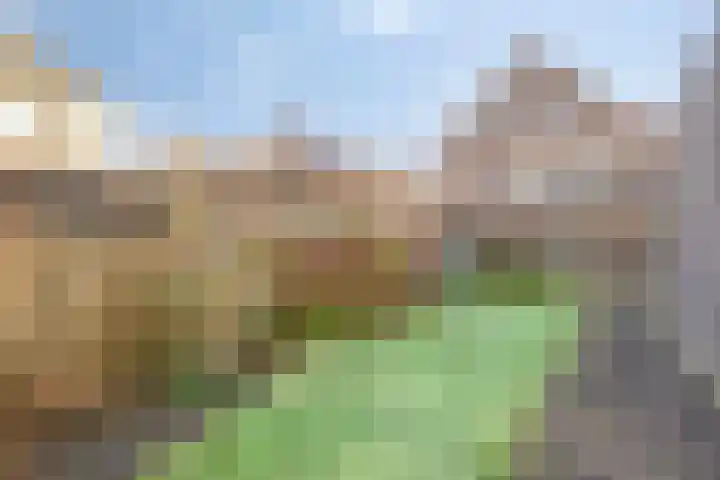 Egelantier 10 Meppel thumbnail 31