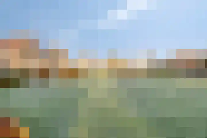 Egelantier 10 Meppel thumbnail 35