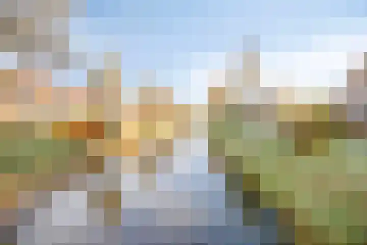Egelantier 10 Meppel thumbnail 37