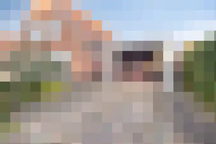 Egelantier 10 Meppel thumbnail 5