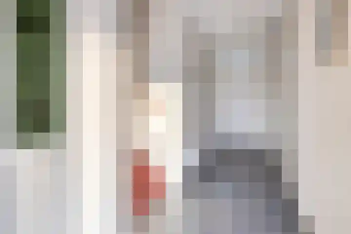 Egelantier 10 Meppel thumbnail 6