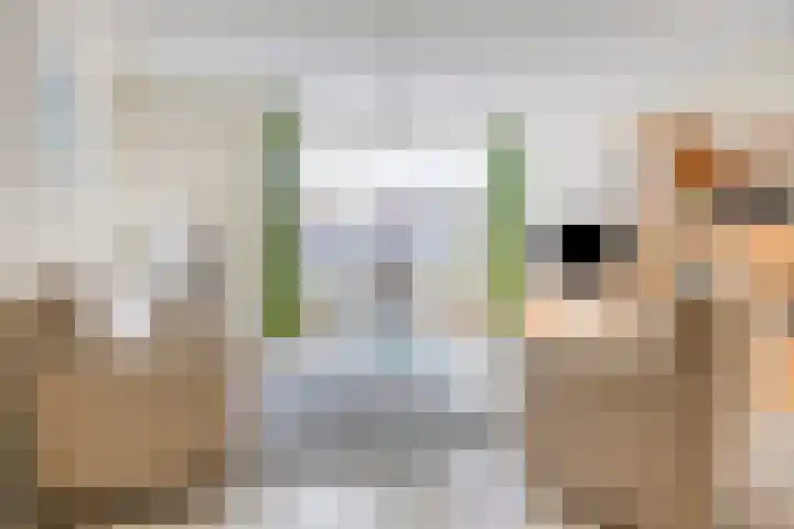 Egelantier 10 Meppel thumbnail 7