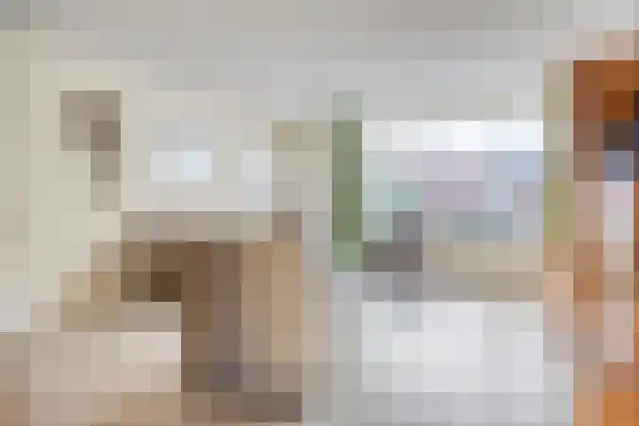 Egelantier 10 Meppel thumbnail 8