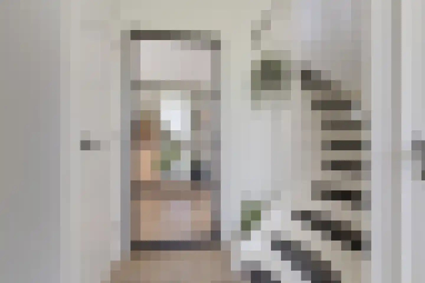 Egelantier 11 Haaksbergen thumbnail 13