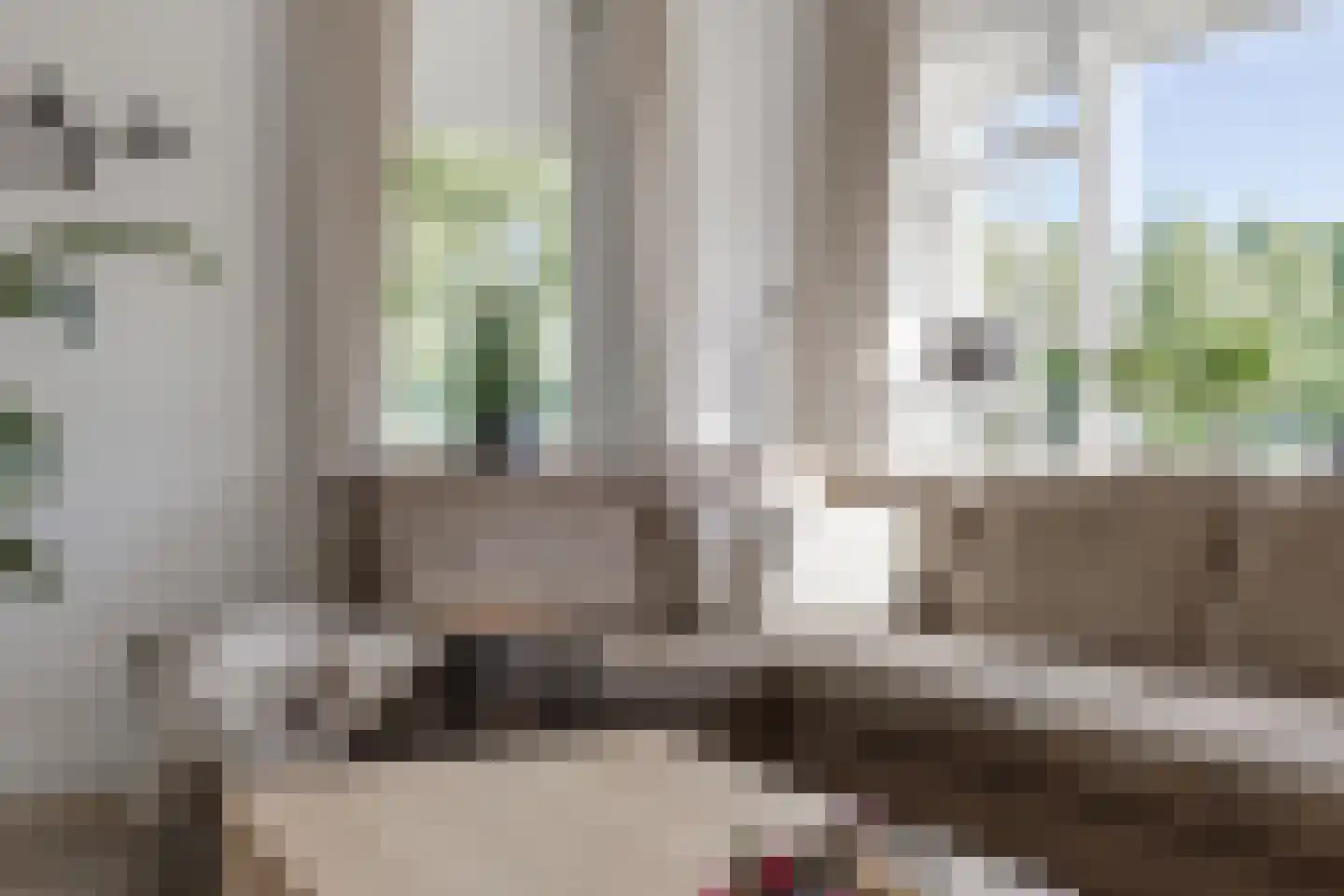 Egelantier 11 Haaksbergen thumbnail 16