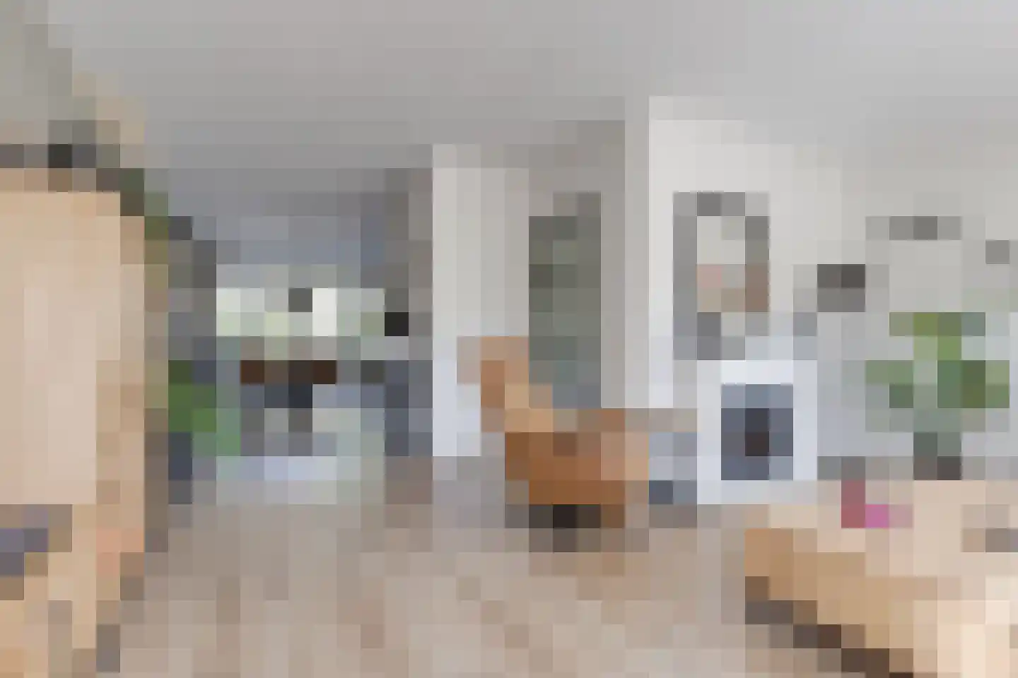Egelantier 11 Haaksbergen thumbnail 17