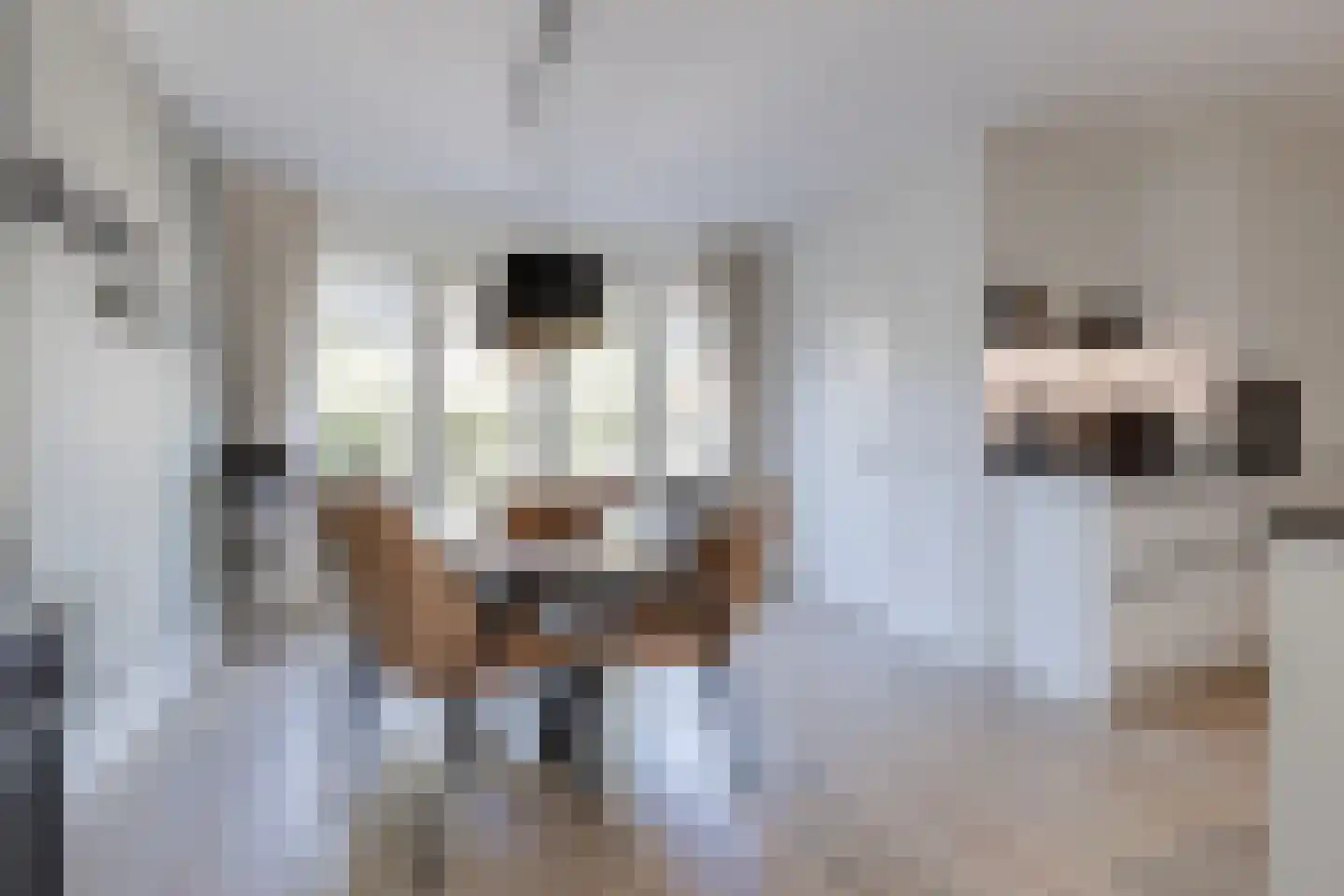Egelantier 11 Haaksbergen thumbnail 19